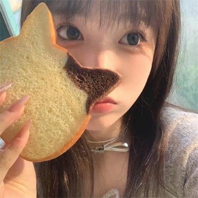 追鹰日记